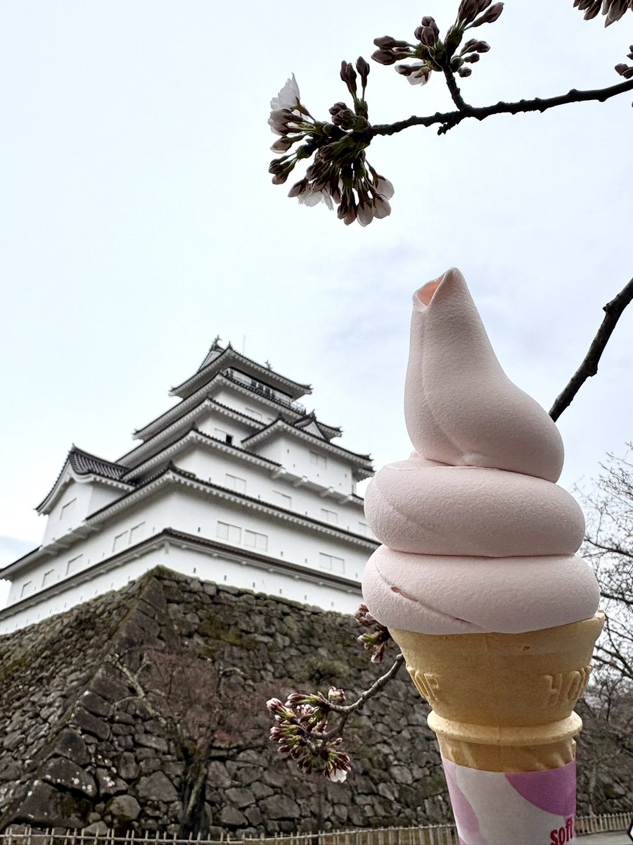 【鶴ヶ城公式】会津若松城 tweet media