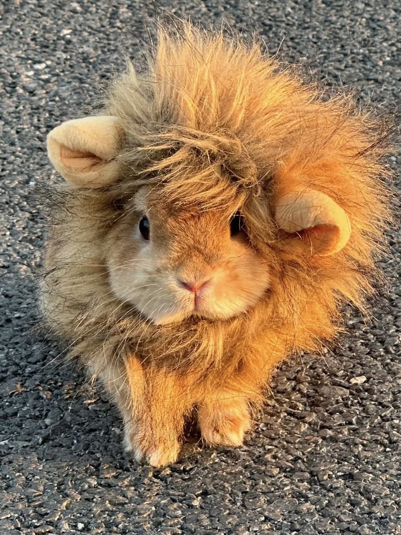 끼한이 아카이브 tweet media