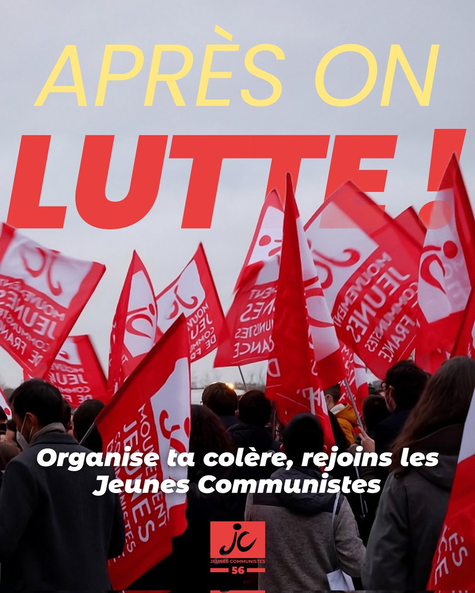 MJCF Morbihan tweet media