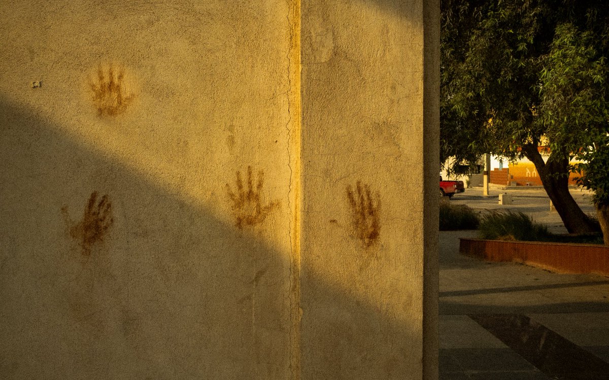 تركي. tweet media