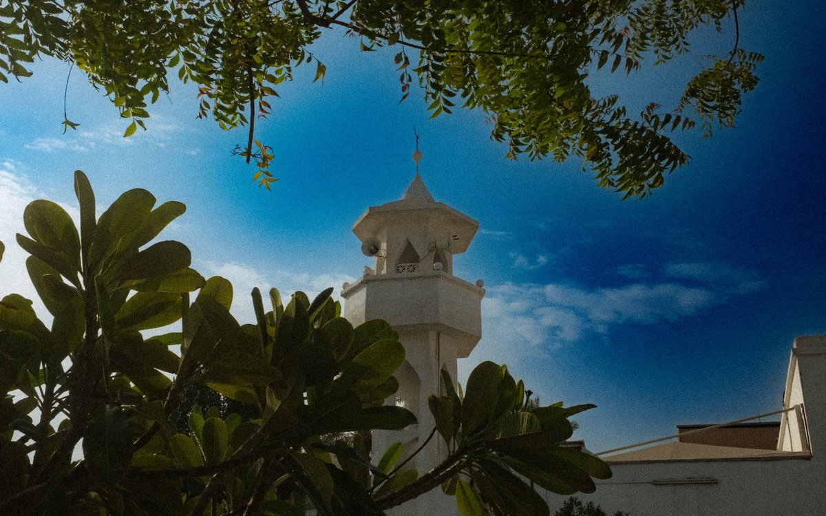 تركي. tweet media