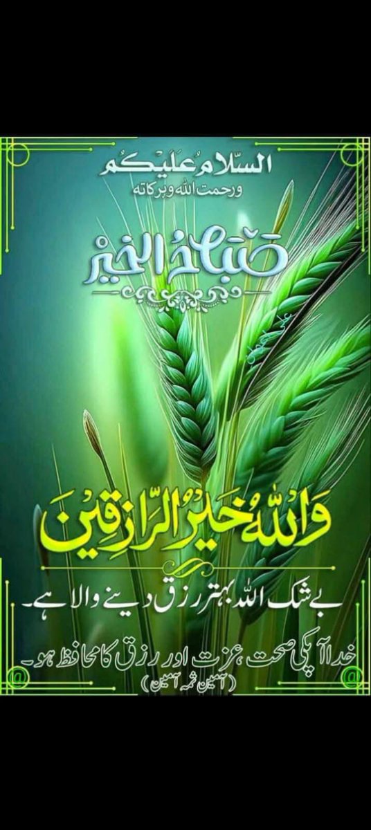 GOhaR tweet media