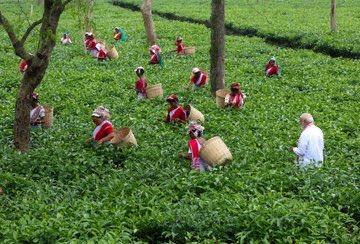 Arvind Chotia tweet media