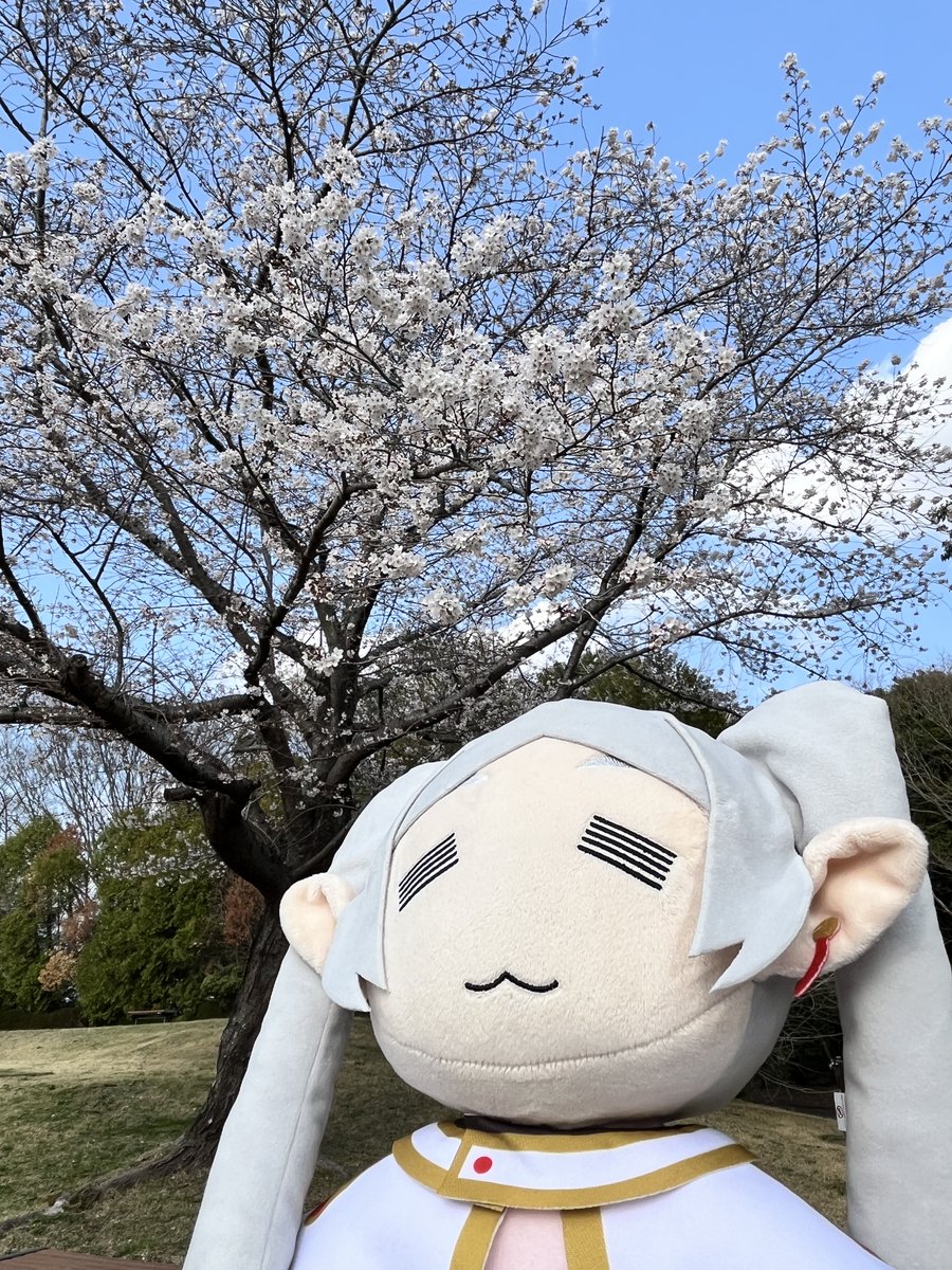 『葬送のフリーレン』公式 tweet media