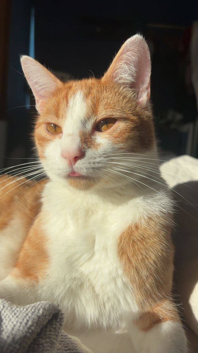 Lilou'♥️ tweet media