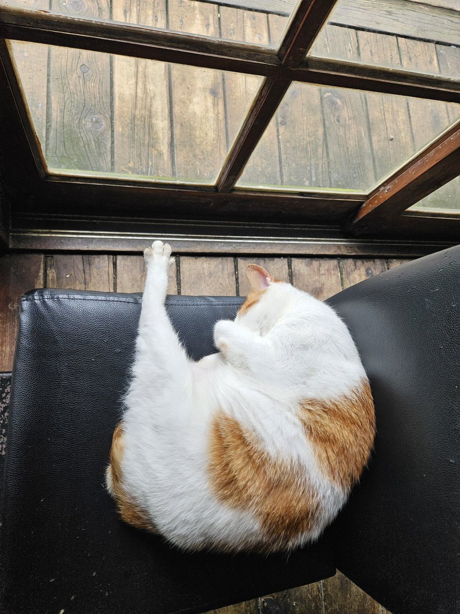 Wecryptotogether | theo/acc 🦅 tweet media