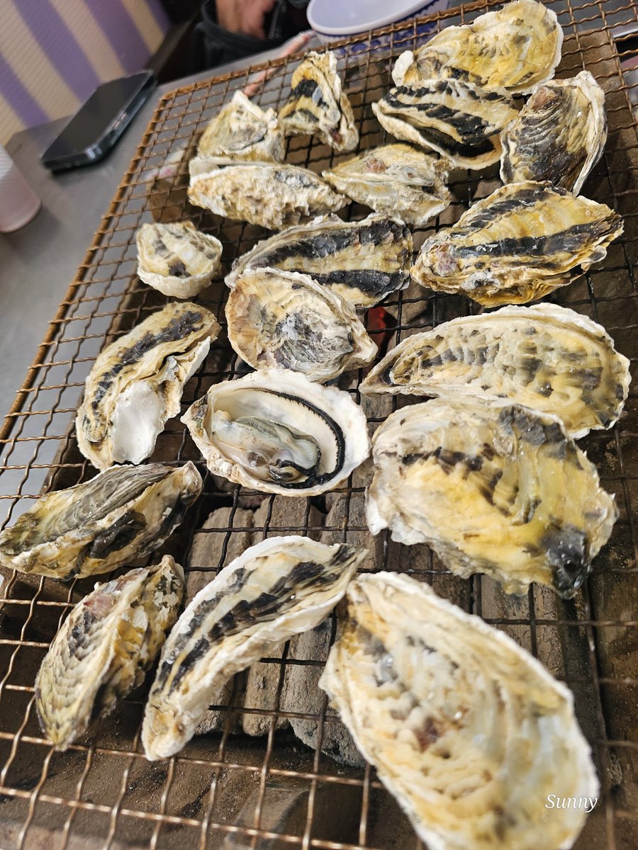 sunny 🍷🍹🍸 tweet media