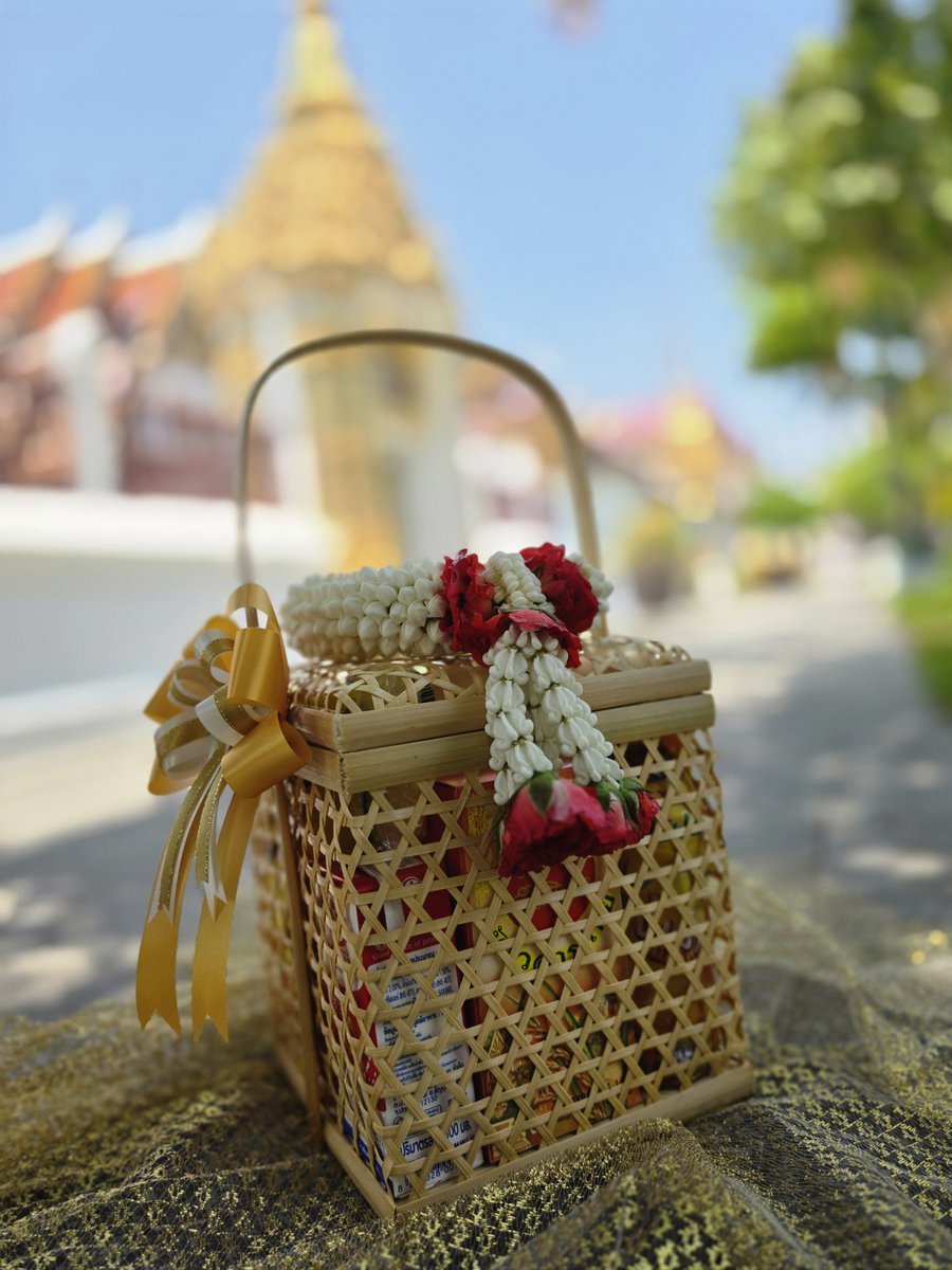 ☘️012ohm🦖 tweet media