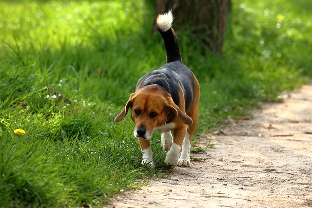 Juanita Bishop tweet media