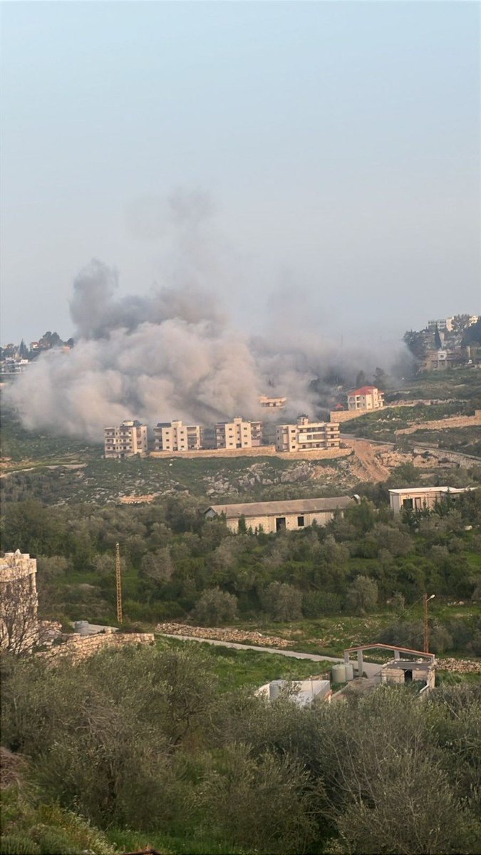 roqayah chamseddine tweet media