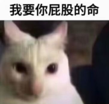 薛定谔的橘喵 tweet media