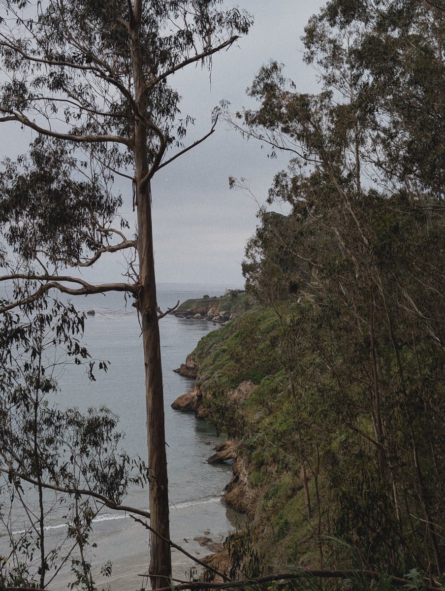 joemjameson's tweet photo. These central coast views never disappoint. #AprilFoolsDay https://t.co/yDrnscfdc3