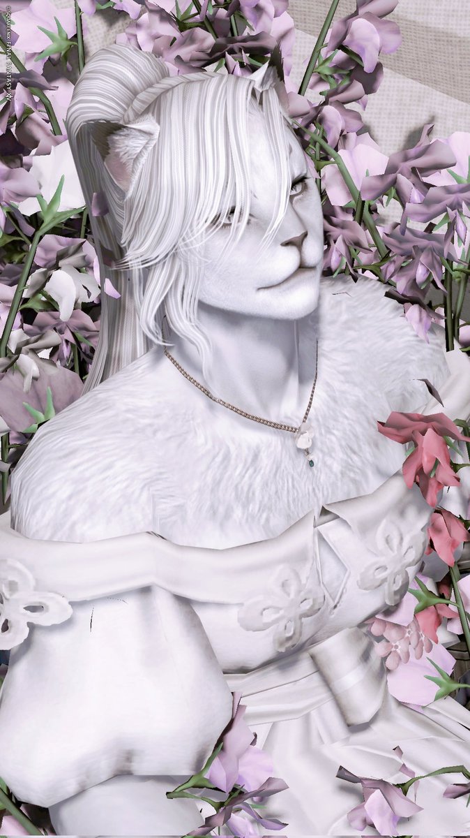 𝒇𝒓𝒐𝒛𝒆 tweet media