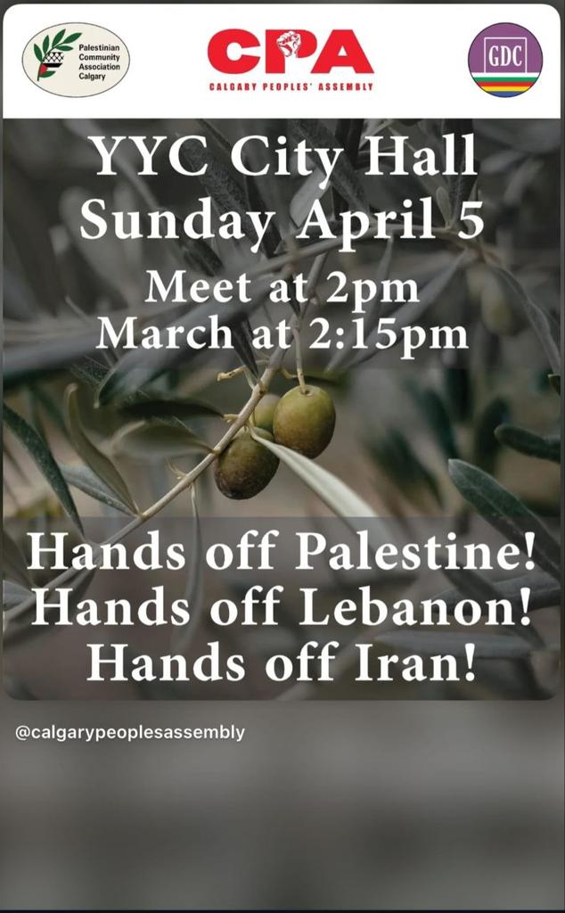 راحله طارانی tweet media