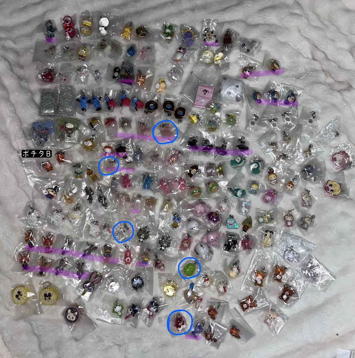 しーぶりーむ🐟取引用 tweet media