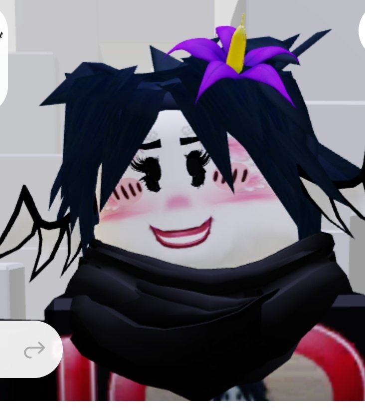 삐둘기 tweet media