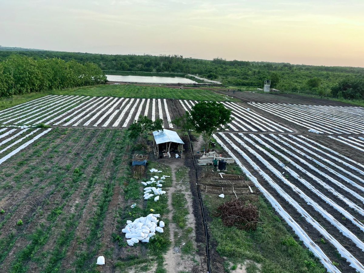 Emmanuel_scott3's tweet photo. aménagement d'une ferme de 3 ha à lilikope (Togo)
@FAO 
@FAOauTogo 
@GlobalTogo @ https://t.co/6mv24NHMqL