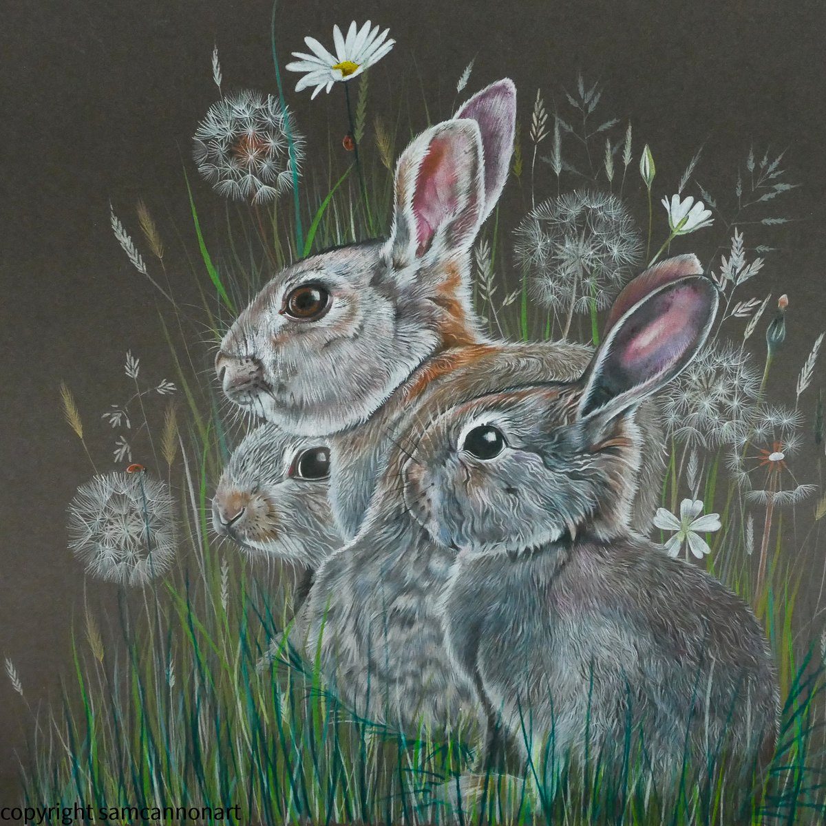 Sam Cannon Art tweet media