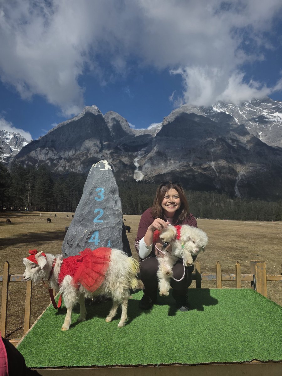 nazferatu 🍉 tweet media