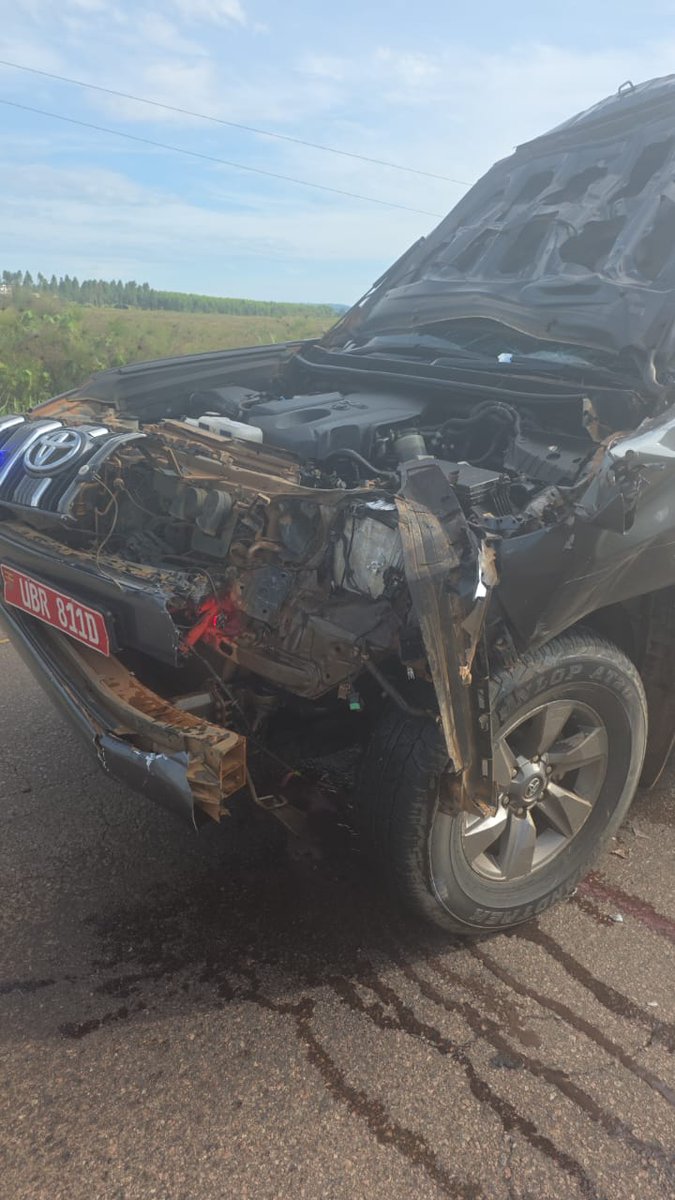 The New Vision tweet media