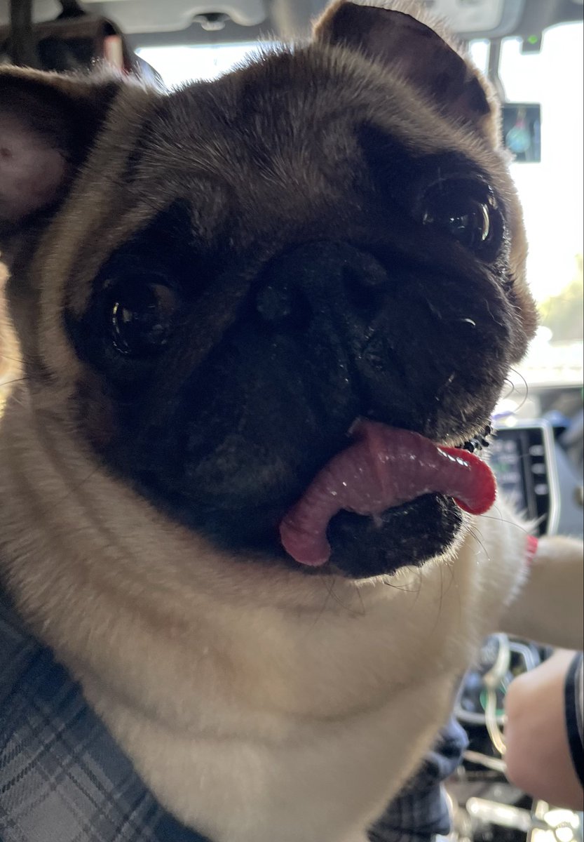 KEN☆○★ tweet media