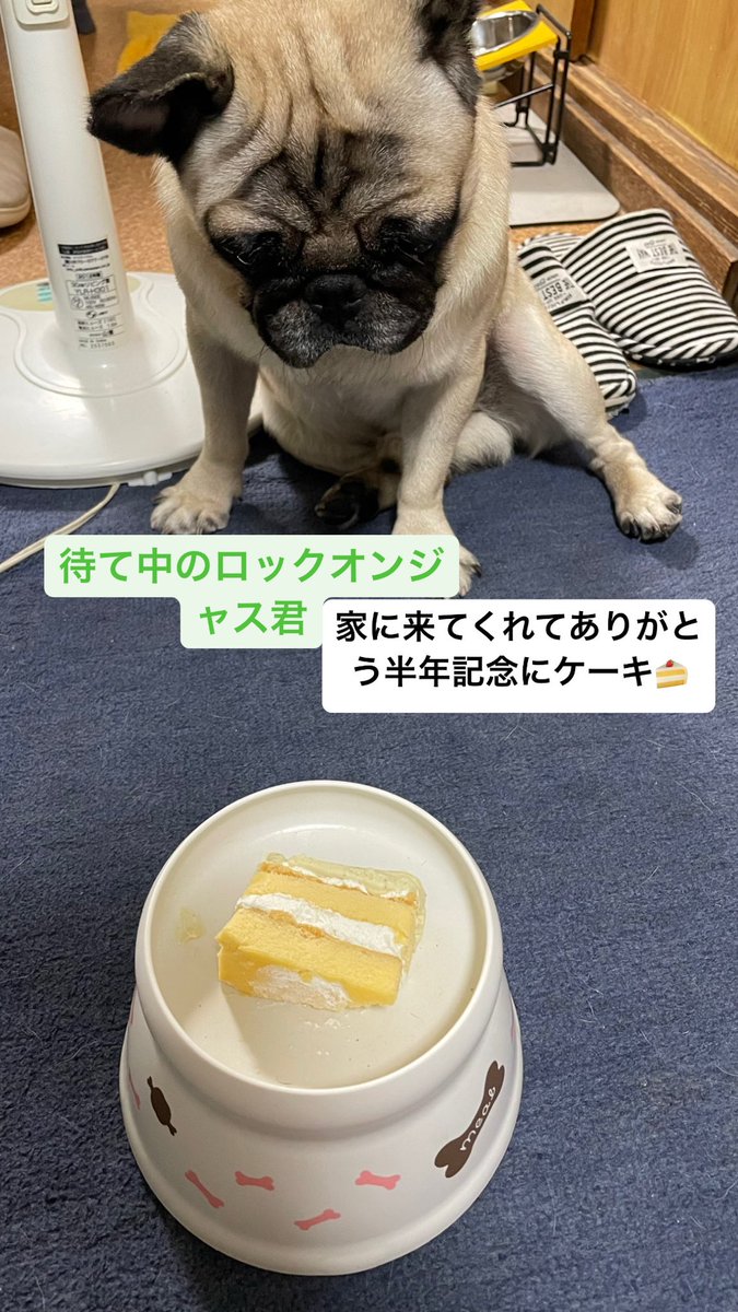 KEN☆○★ tweet media