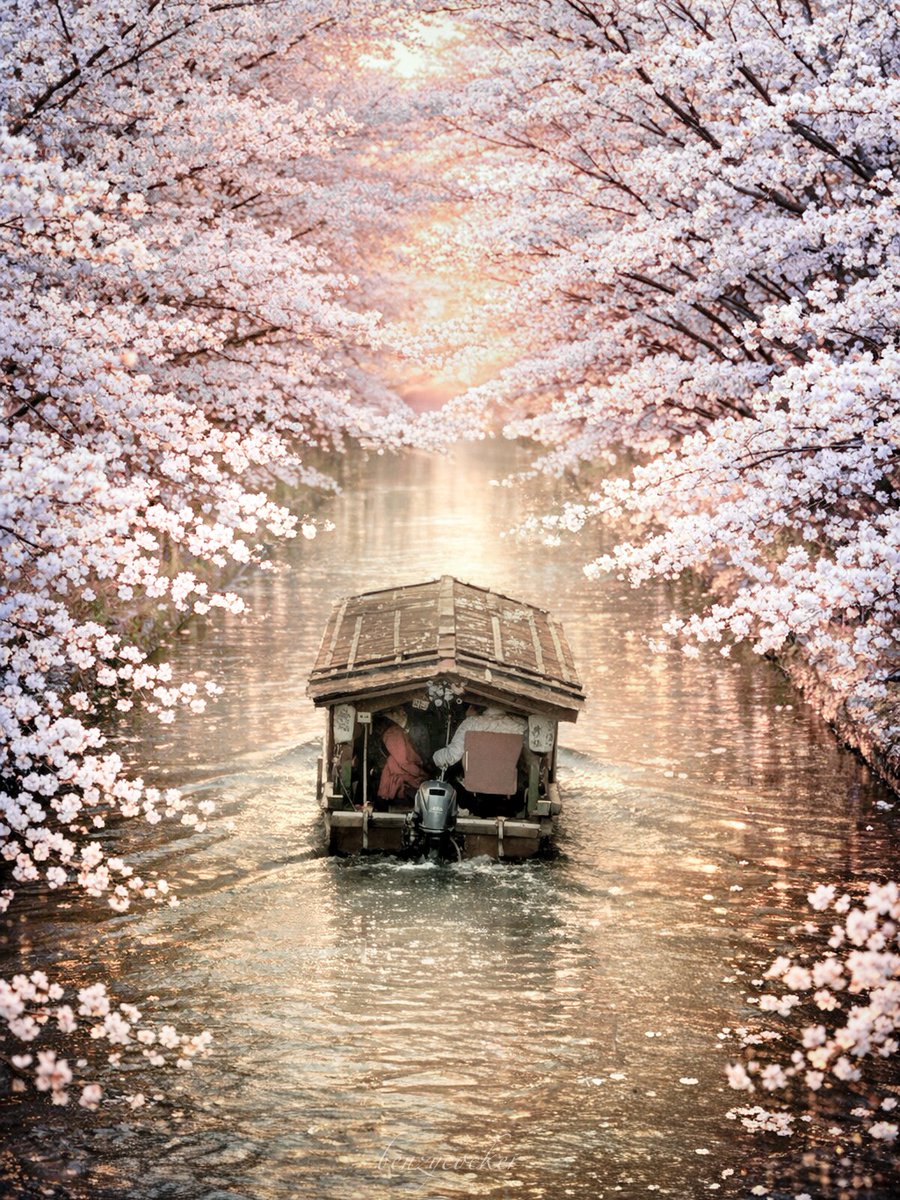 ベンジー tweet media