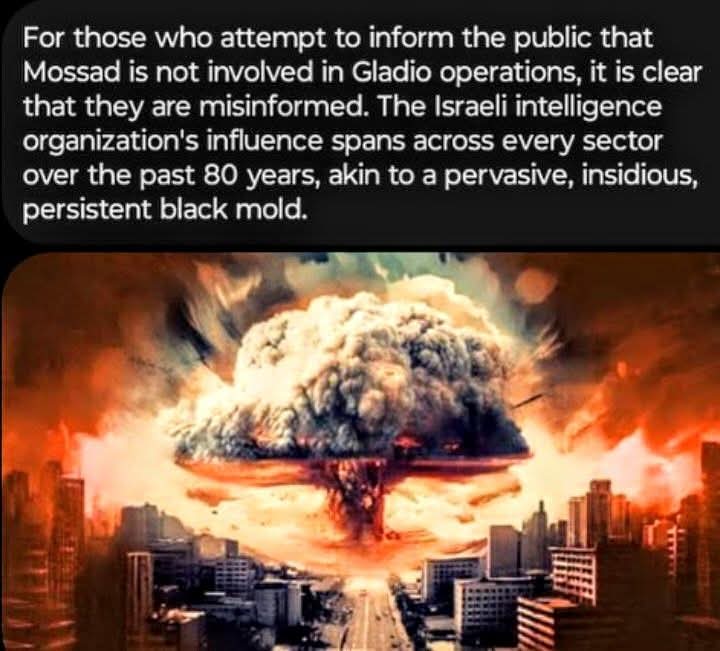 Michael Loris tweet media