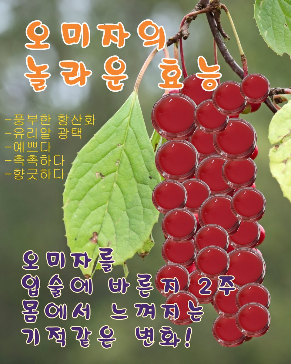 화랑이네 오미자농장 tweet media