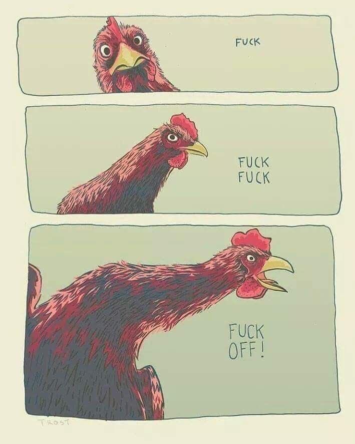 🎹 Jeeto 🎛️🎶 tweet media