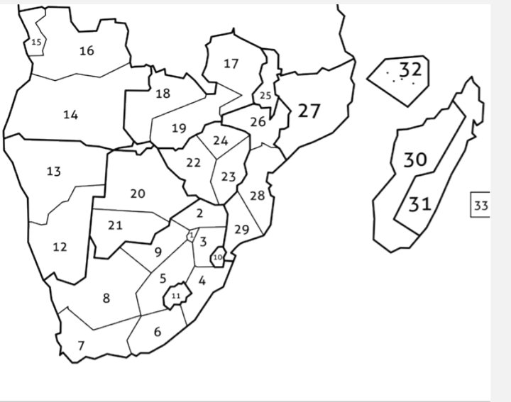 Taisa P Tshuma tweet media