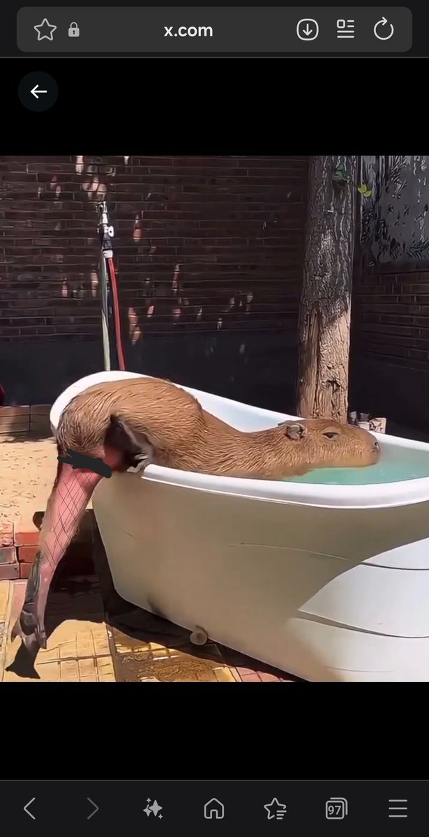 LittleDropOfPoison tweet media