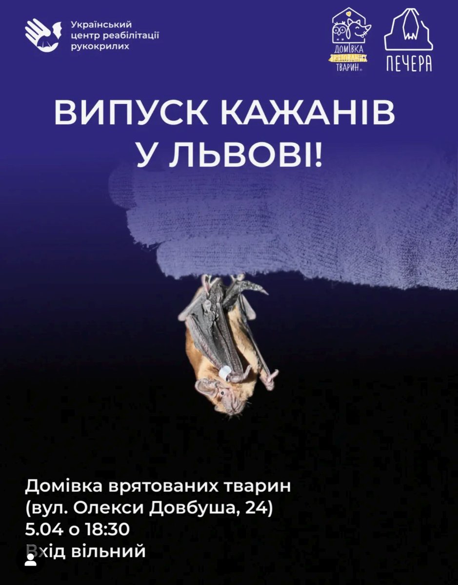 Перше що подумала: а де вони вчились