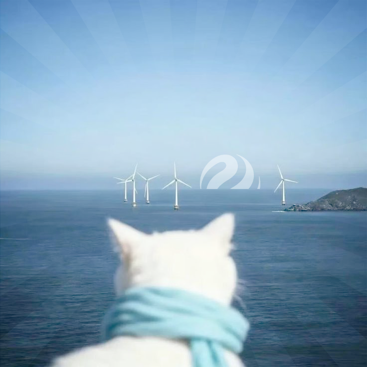 Injective India Community 🇮🇳 tweet media