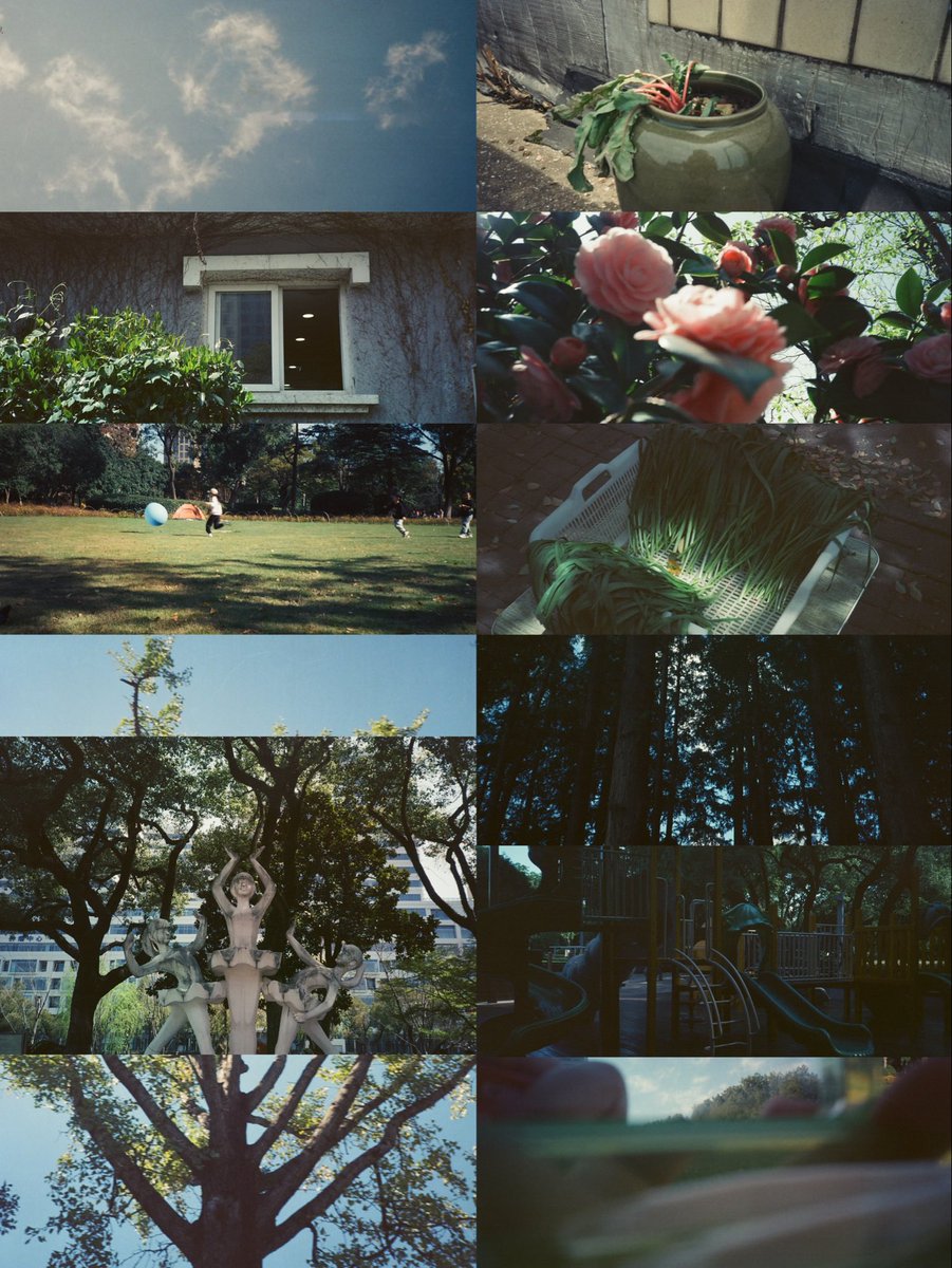 maintenant tweet media