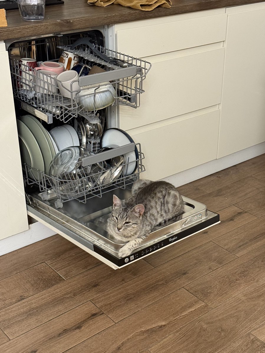 например Алиса tweet media