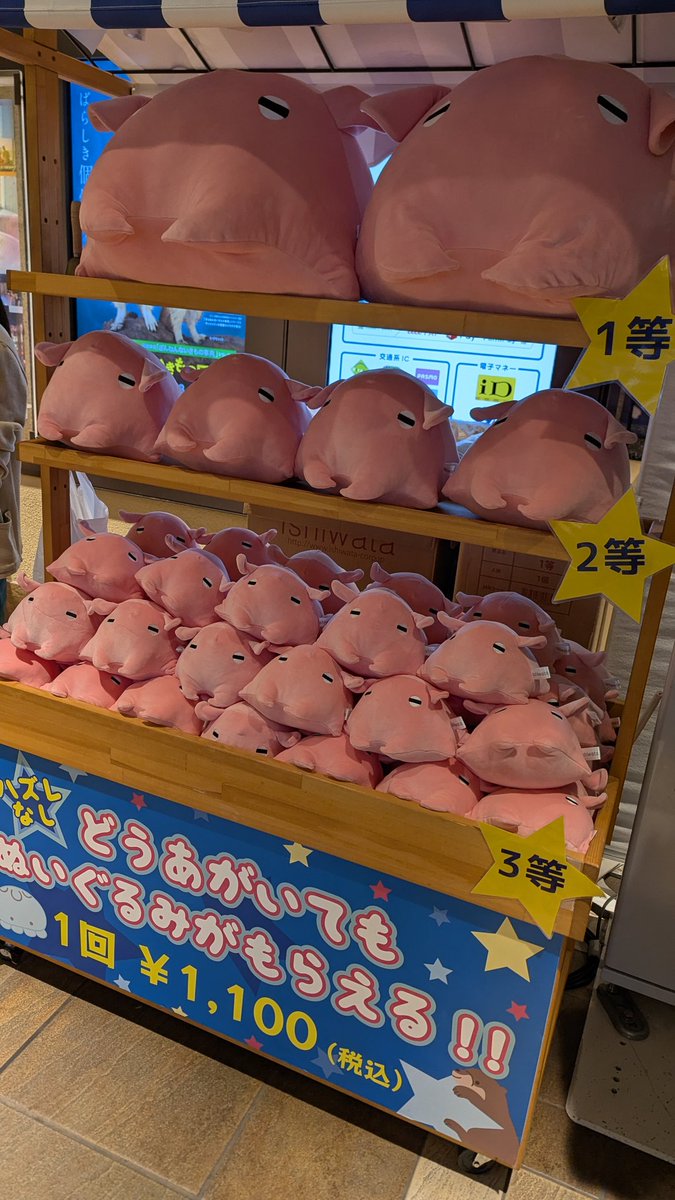 お魚さん tweet media