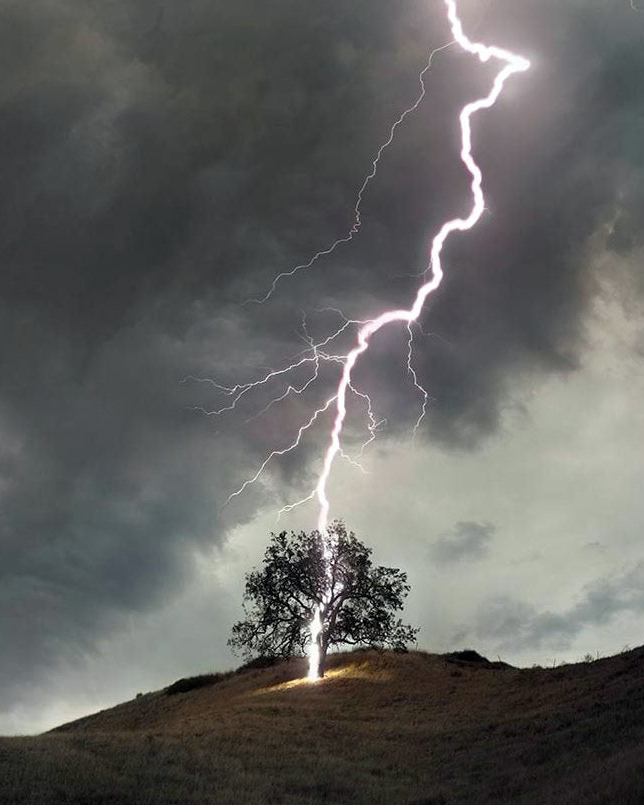 Mark Rees tweet media