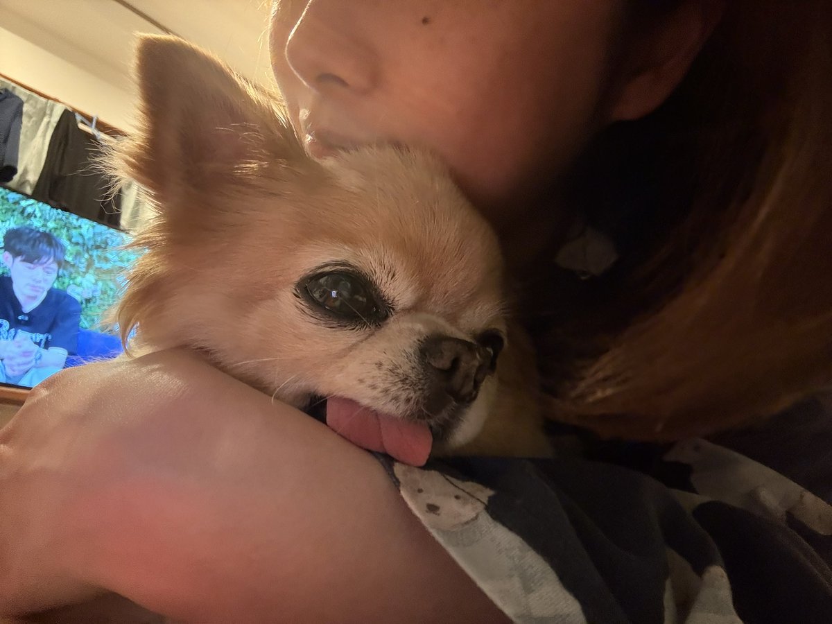 くどみ(みそ) tweet media