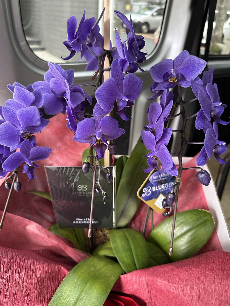 ろじさん@明るい軽貨物🪼 tweet media