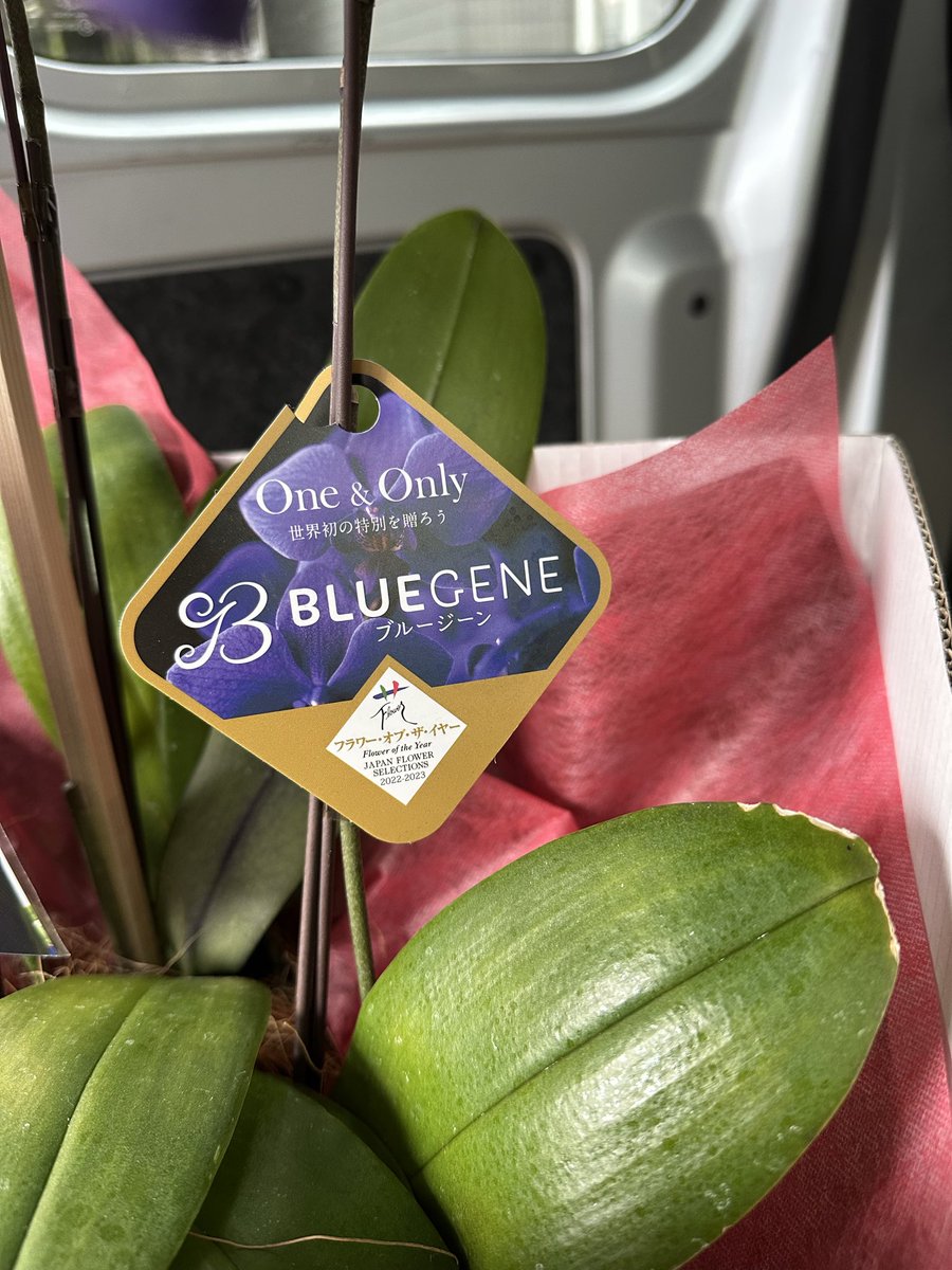 ろじさん@明るい軽貨物🪼 tweet media