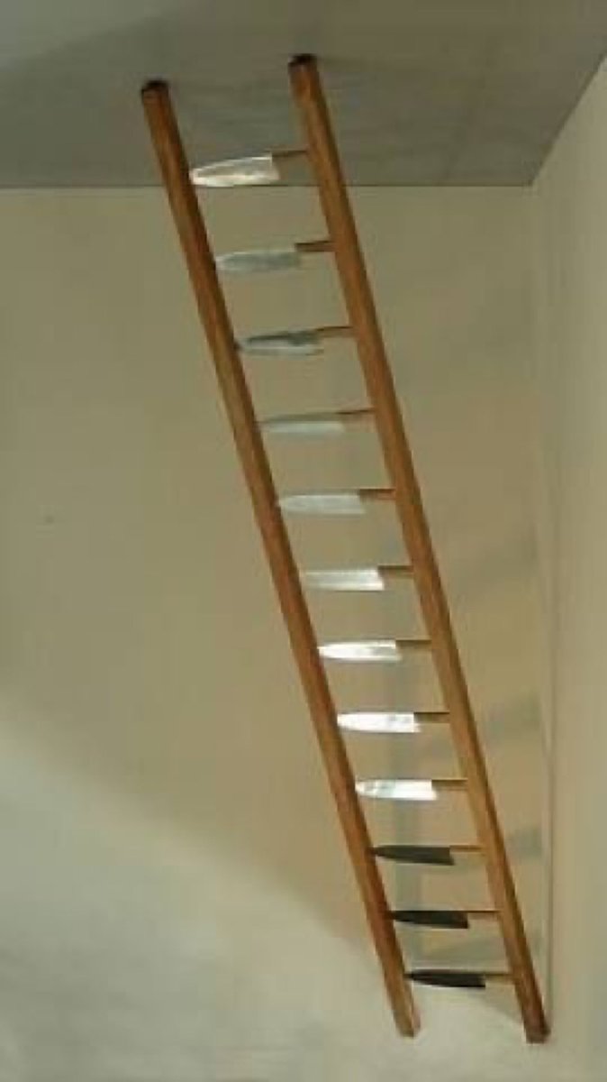 تـهـاني ❥✍ tweet media