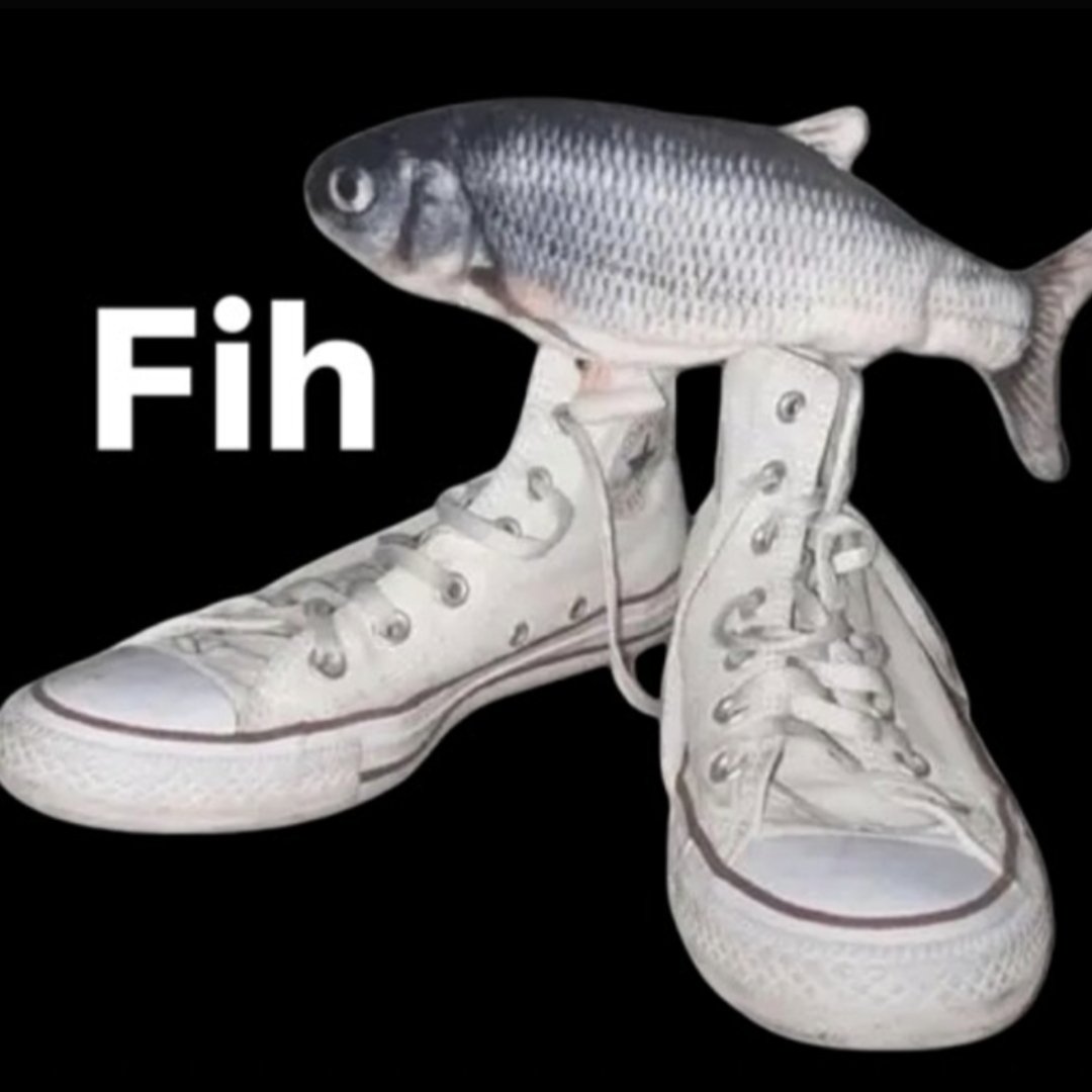 p 🍁🍂 tweet media