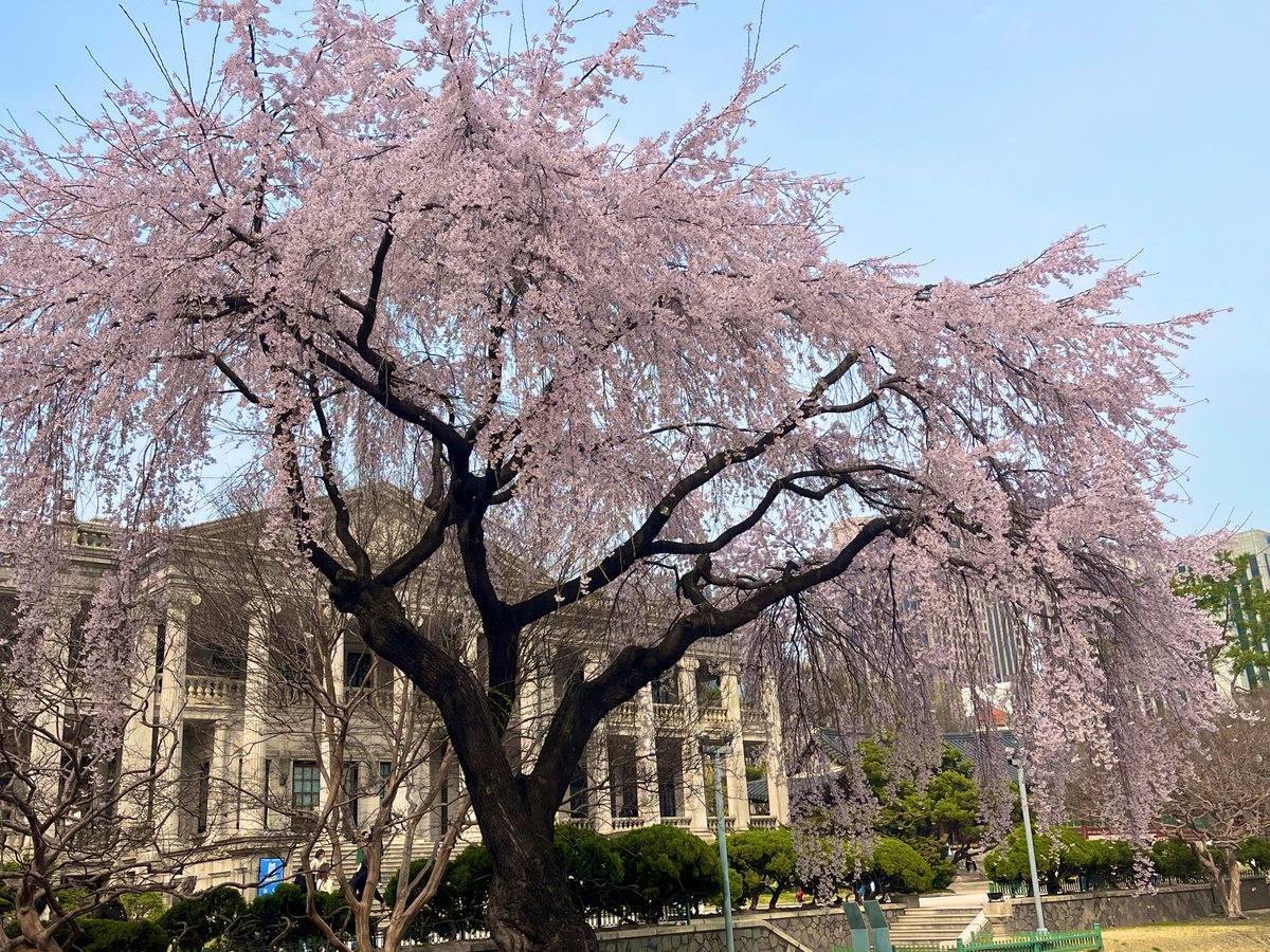 Nessa 넷사 tweet media