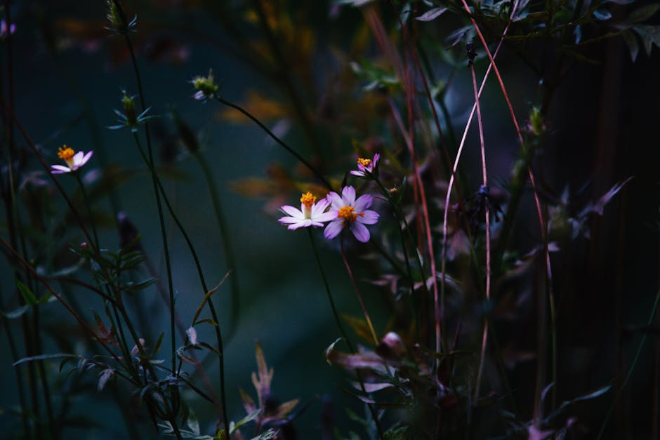 Darron Grassia tweet media