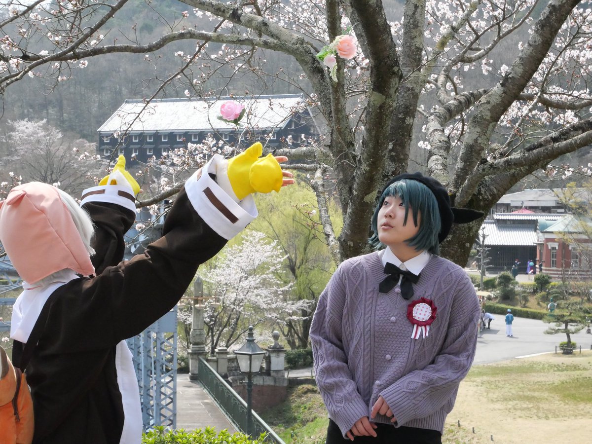林檎 tweet media