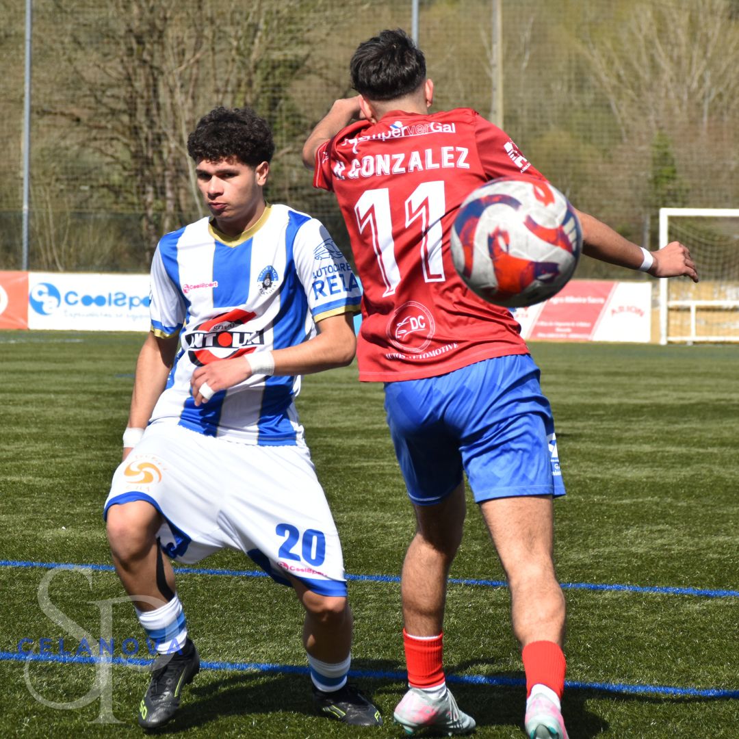 SportingCelanova tweet media