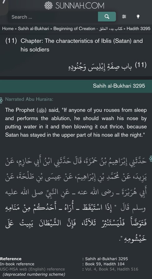 Devius Maximus, H.O 🩵 tweet media