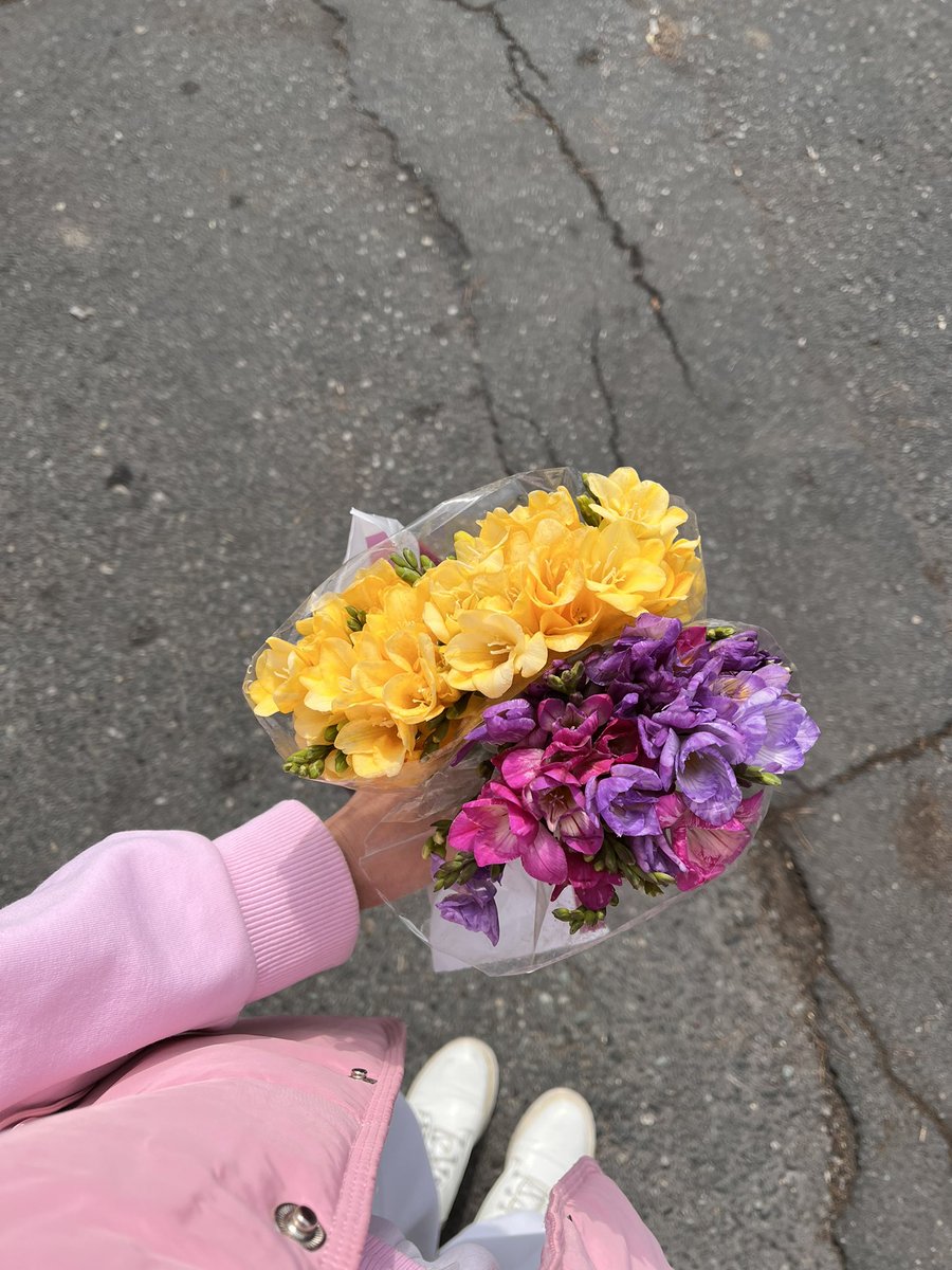 Anna ✨ tweet media