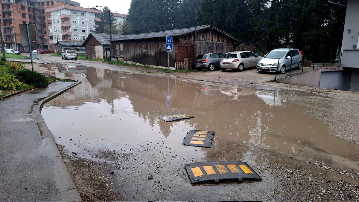 Ljiljana Smiljanic tweet media